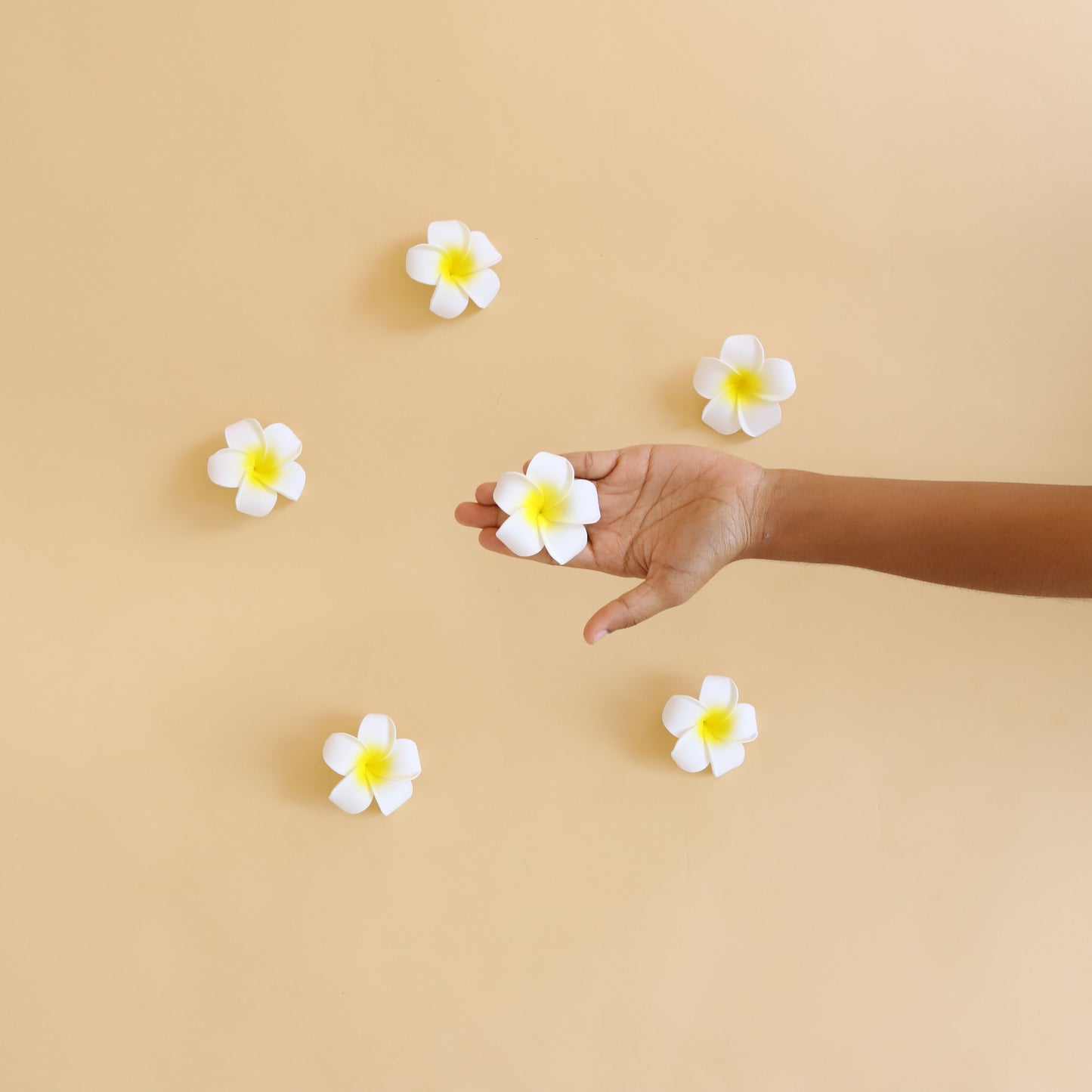 CHAMPA FLOWERS