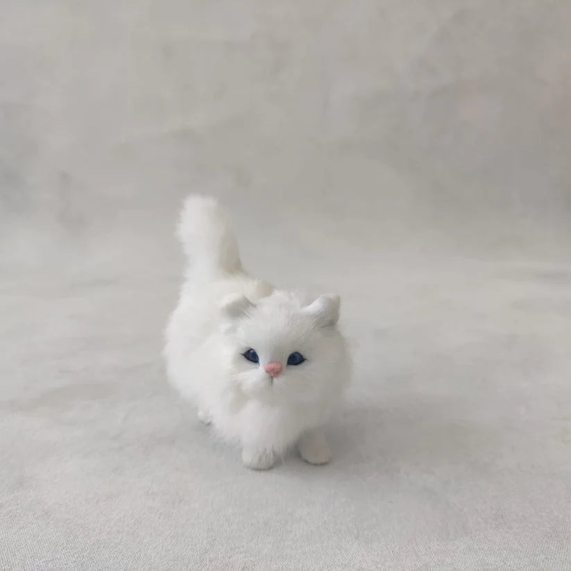 CAT WHITE